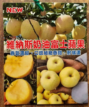 維納斯奶油富士蘋果( 嫁接苗, 售價350元) 